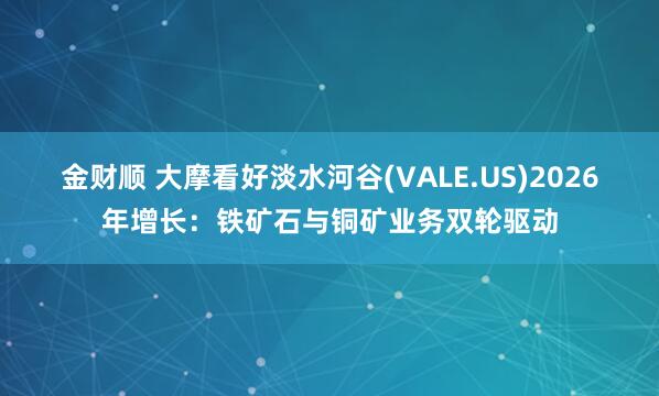 金财顺 大摩看好淡水河谷(VALE.US)2026年增长：铁矿石与铜矿业务双轮驱动
